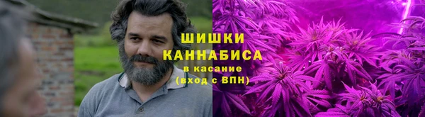 PSILOCYBIN Горняк