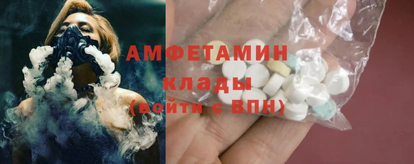 PSILOCYBIN Горняк