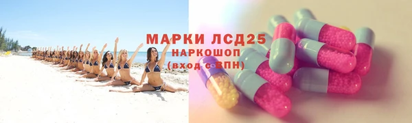 PSILOCYBIN Горняк