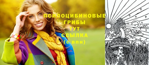 дмт Осташков