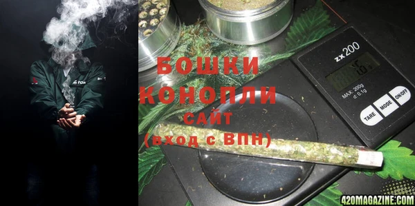 PSILOCYBIN Горняк