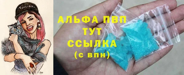 PSILOCYBIN Горняк