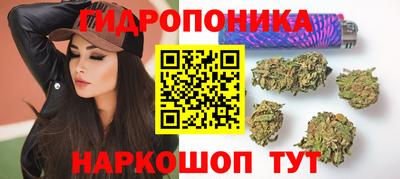 гашик Обь