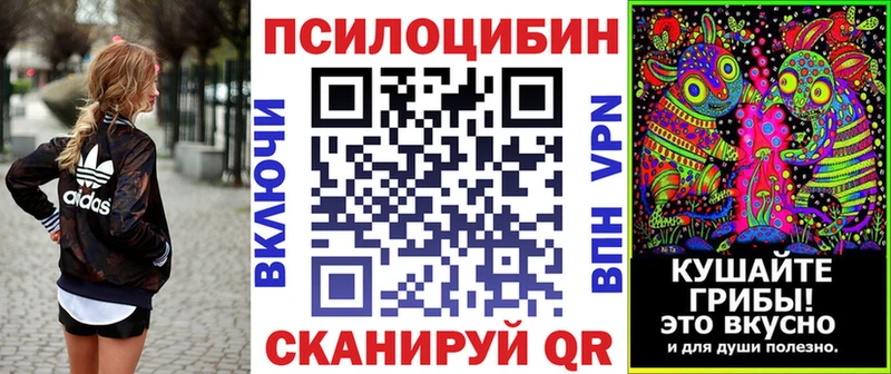 Псилоцибиновые грибы Magic Shrooms  купить  сайты  Чита 