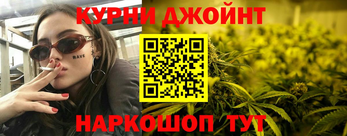 Бошки Шишки план Чита